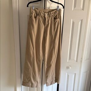American Eagle Outfitters Tan Stretch Pants